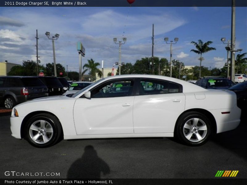 Bright White / Black 2011 Dodge Charger SE