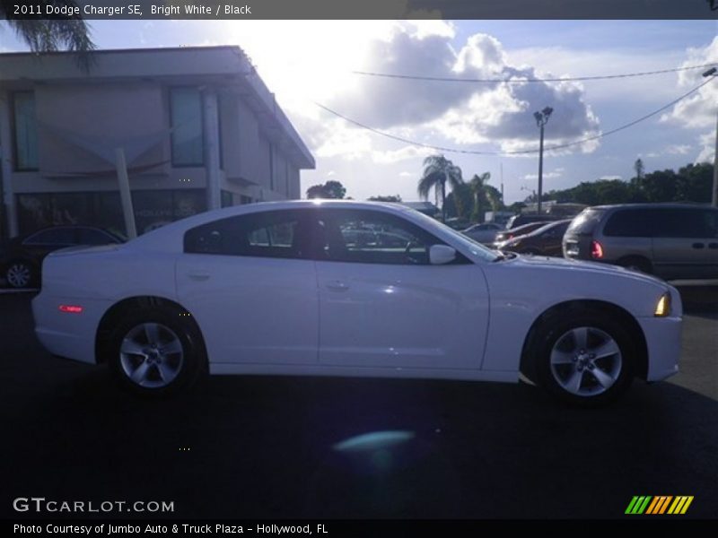 Bright White / Black 2011 Dodge Charger SE