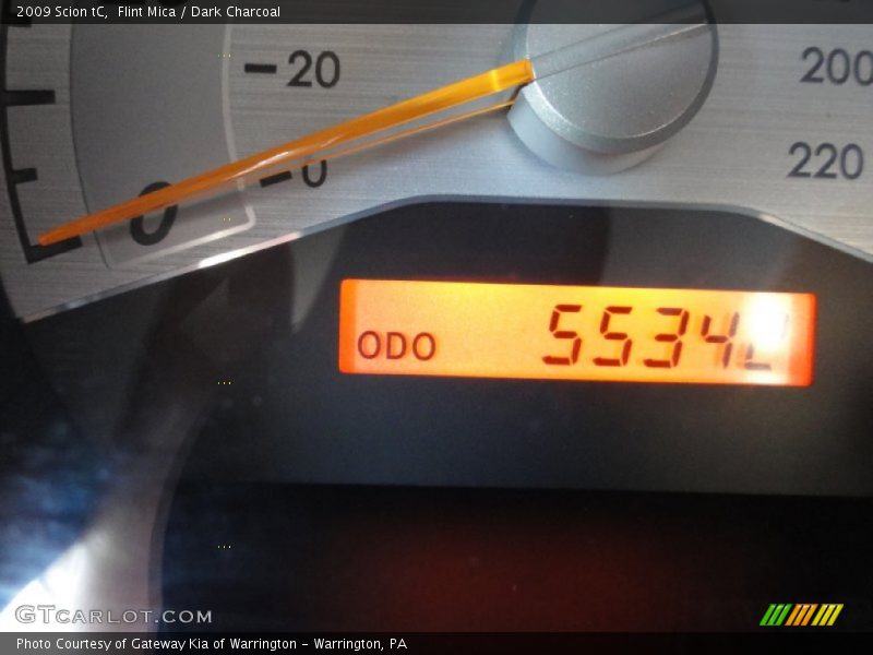 Flint Mica / Dark Charcoal 2009 Scion tC