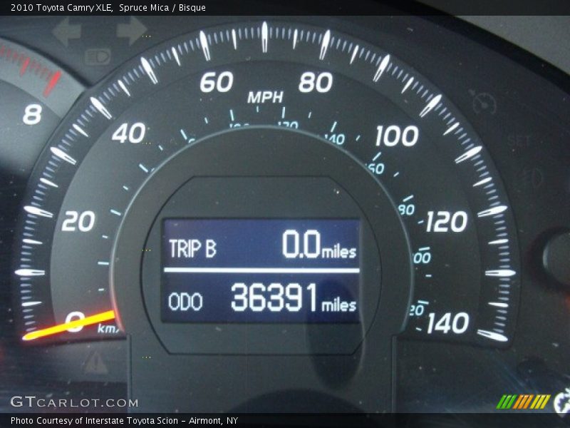 Spruce Mica / Bisque 2010 Toyota Camry XLE