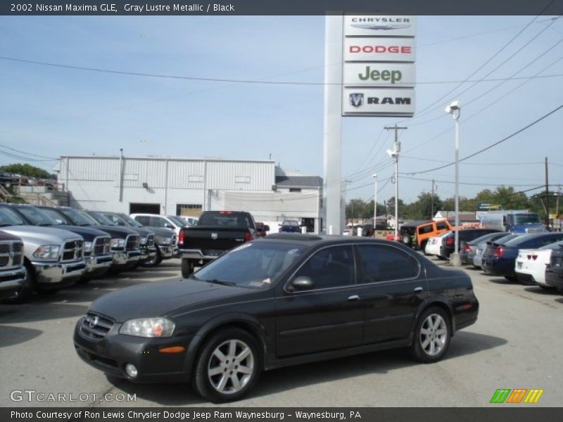 Gray Lustre Metallic / Black 2002 Nissan Maxima GLE