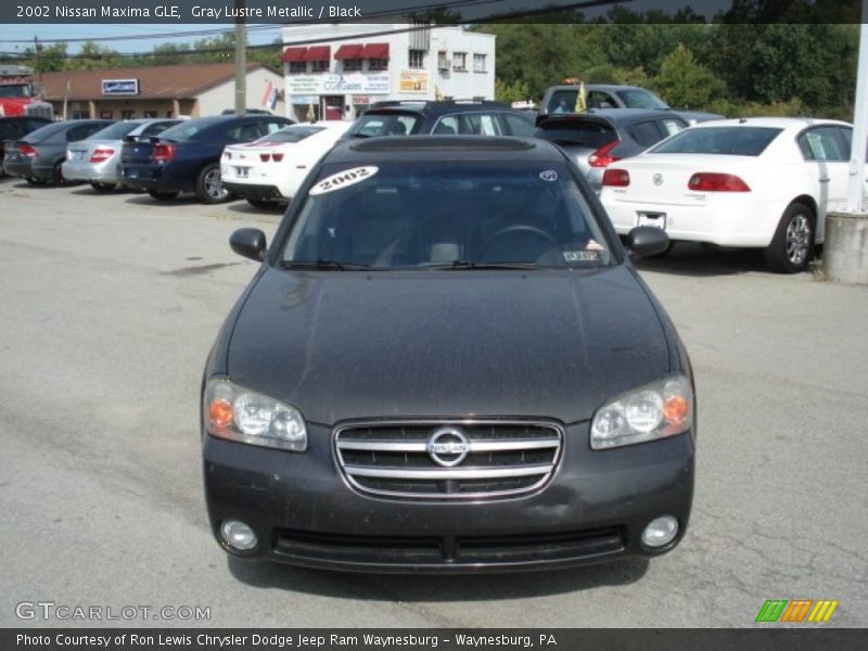 Gray Lustre Metallic / Black 2002 Nissan Maxima GLE