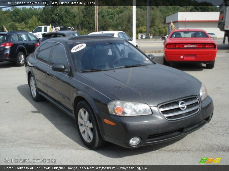 Gray Lustre Metallic / Black 2002 Nissan Maxima GLE