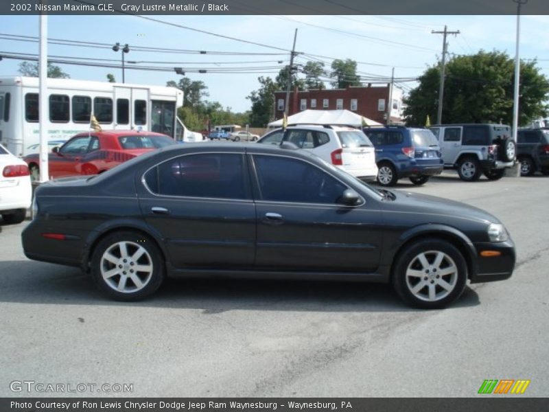 Gray Lustre Metallic / Black 2002 Nissan Maxima GLE