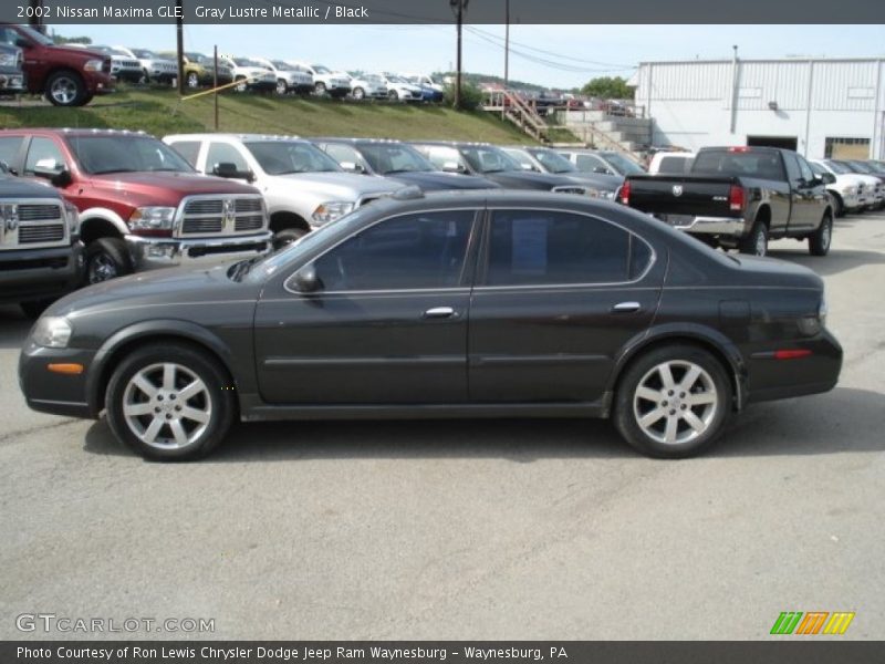 Gray Lustre Metallic / Black 2002 Nissan Maxima GLE