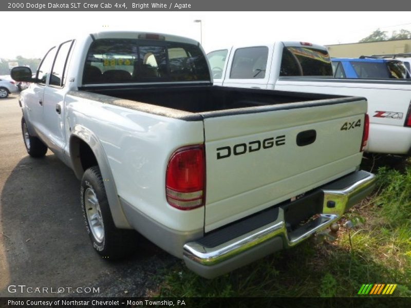 Bright White / Agate 2000 Dodge Dakota SLT Crew Cab 4x4