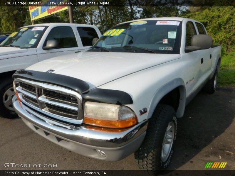 Bright White / Agate 2000 Dodge Dakota SLT Crew Cab 4x4