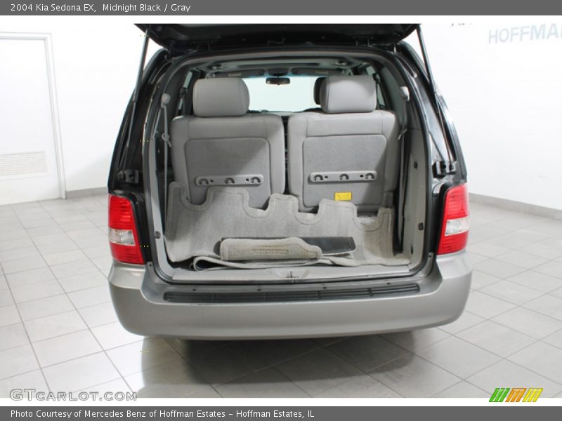 Midnight Black / Gray 2004 Kia Sedona EX