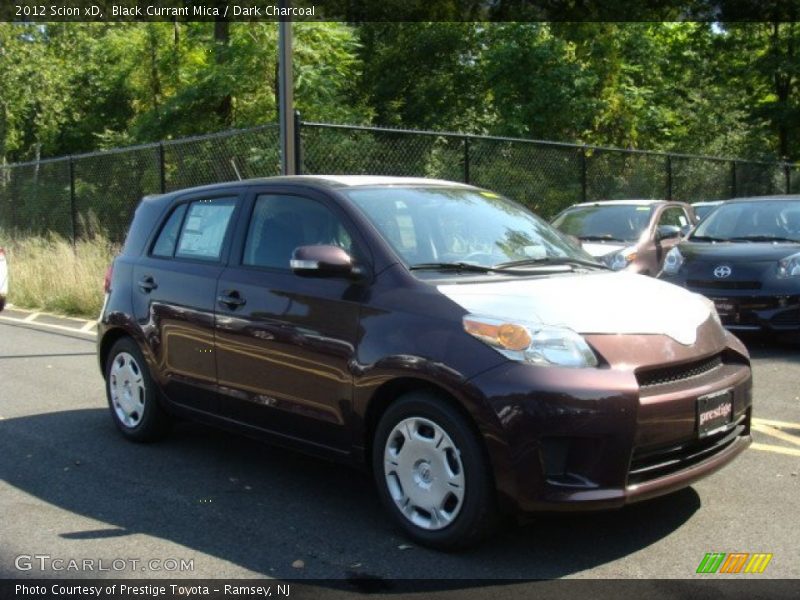 Black Currant Mica / Dark Charcoal 2012 Scion xD