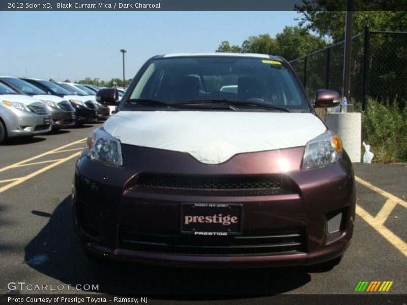 Black Currant Mica / Dark Charcoal 2012 Scion xD