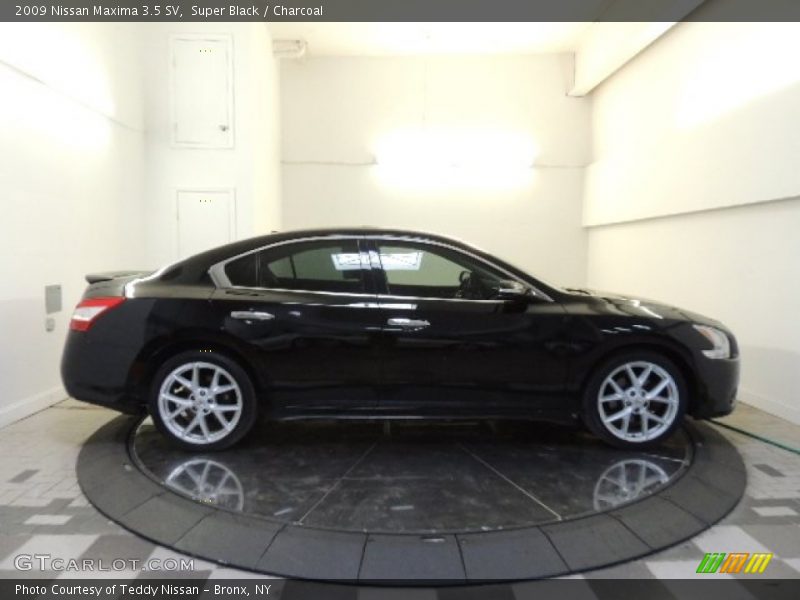 Super Black / Charcoal 2009 Nissan Maxima 3.5 SV