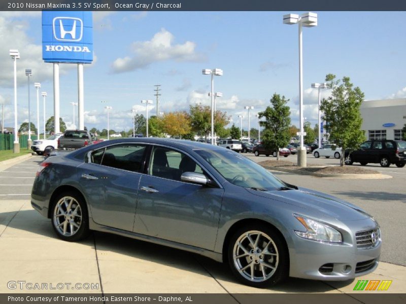 Ocean Gray / Charcoal 2010 Nissan Maxima 3.5 SV Sport