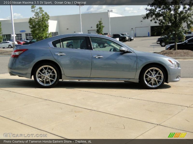 Ocean Gray / Charcoal 2010 Nissan Maxima 3.5 SV Sport