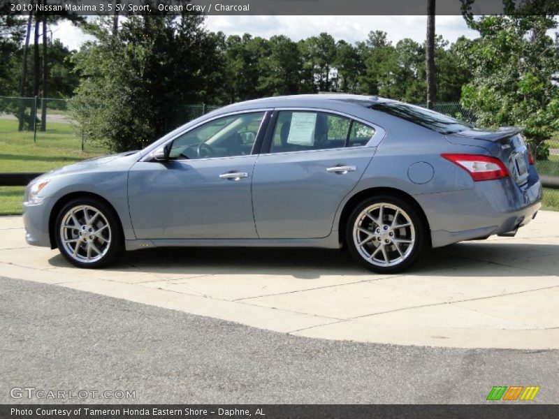 Ocean Gray / Charcoal 2010 Nissan Maxima 3.5 SV Sport