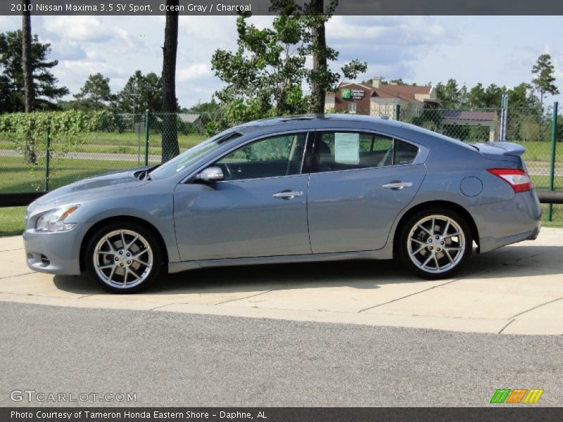 Ocean Gray / Charcoal 2010 Nissan Maxima 3.5 SV Sport