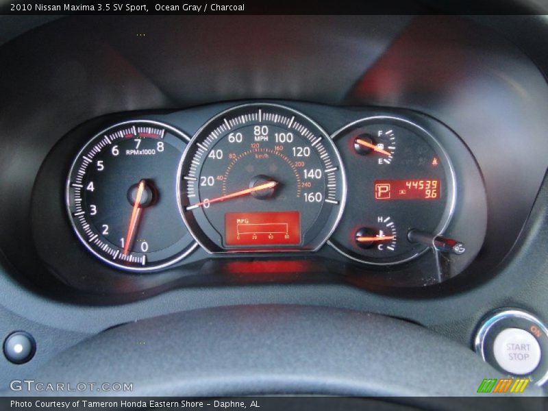 Ocean Gray / Charcoal 2010 Nissan Maxima 3.5 SV Sport