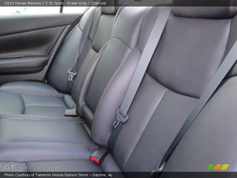 Ocean Gray / Charcoal 2010 Nissan Maxima 3.5 SV Sport