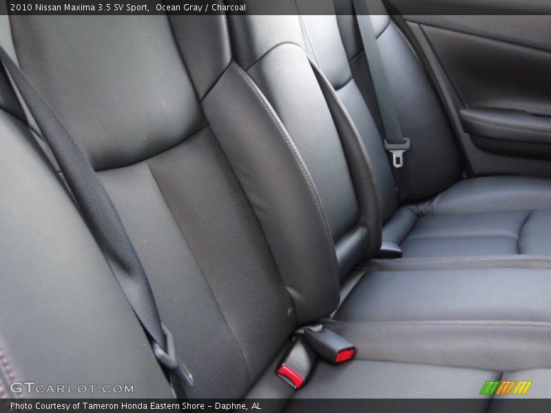 Ocean Gray / Charcoal 2010 Nissan Maxima 3.5 SV Sport