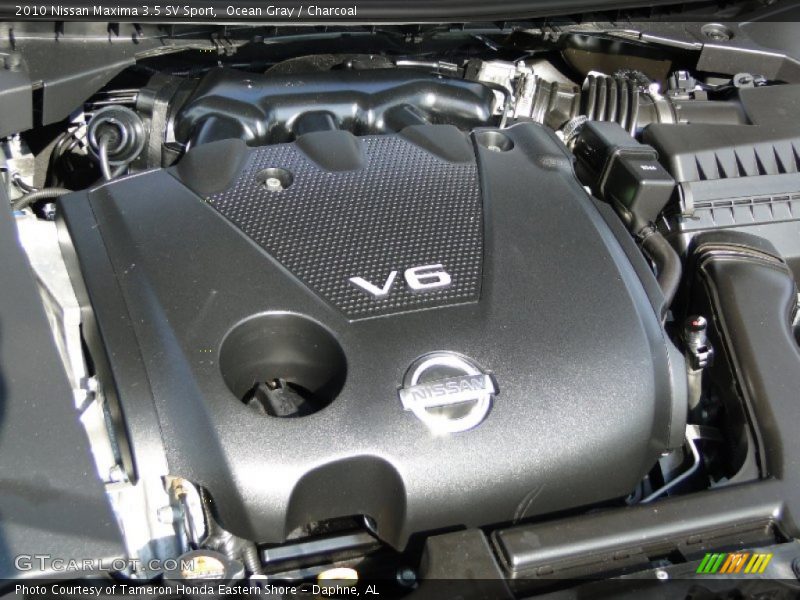 Ocean Gray / Charcoal 2010 Nissan Maxima 3.5 SV Sport