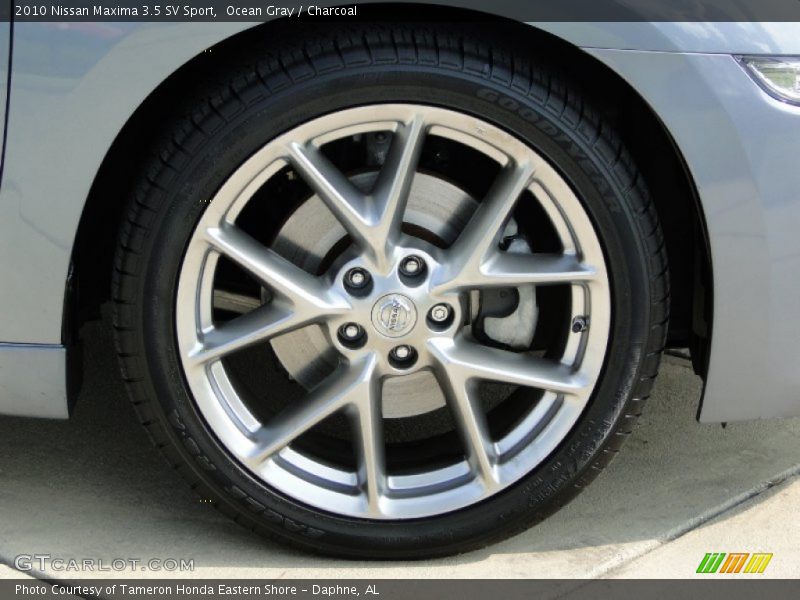 Ocean Gray / Charcoal 2010 Nissan Maxima 3.5 SV Sport