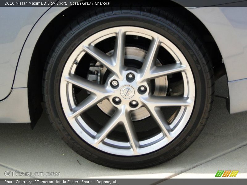 Ocean Gray / Charcoal 2010 Nissan Maxima 3.5 SV Sport