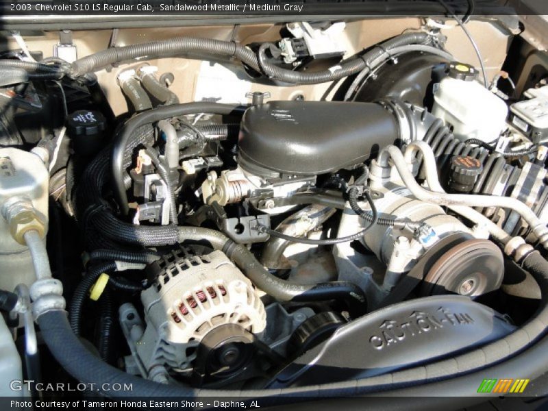 Sandalwood Metallic / Medium Gray 2003 Chevrolet S10 LS Regular Cab