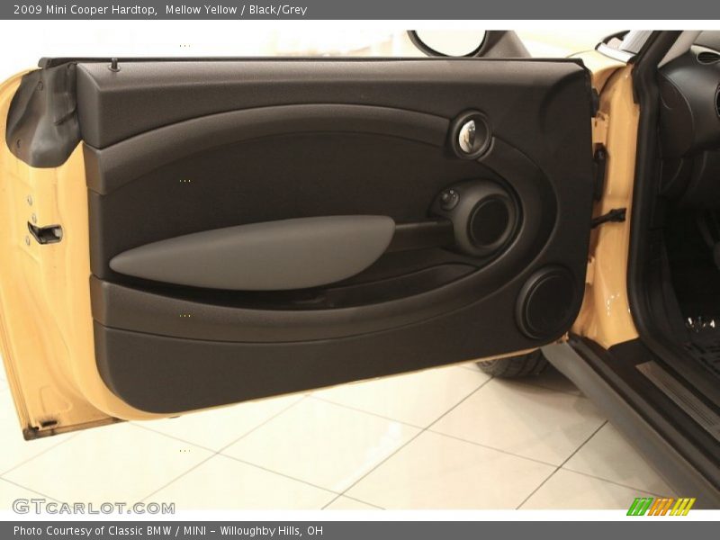 Door Panel of 2009 Cooper Hardtop