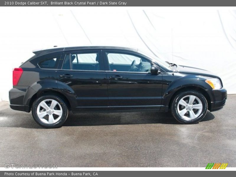 Brilliant Black Crystal Pearl / Dark Slate Gray 2010 Dodge Caliber SXT