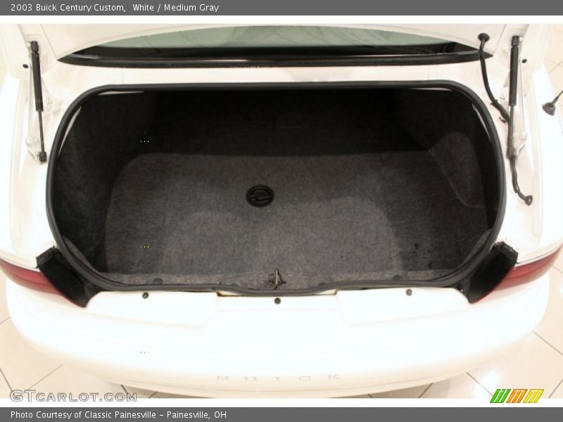 White / Medium Gray 2003 Buick Century Custom