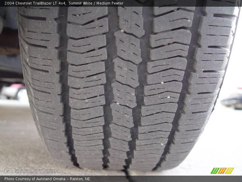Summit White / Medium Pewter 2004 Chevrolet TrailBlazer LT 4x4