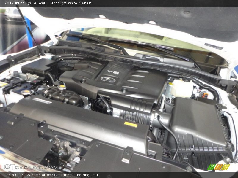 Moonlight White / Wheat 2012 Infiniti QX 56 4WD
