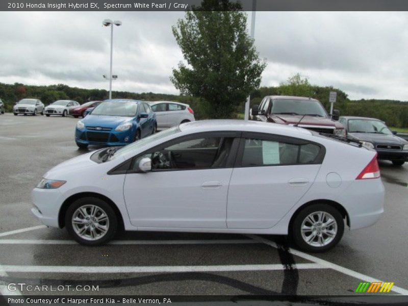 Spectrum White Pearl / Gray 2010 Honda Insight Hybrid EX