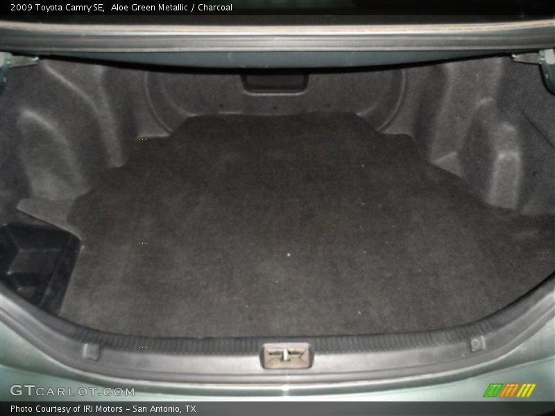 Aloe Green Metallic / Charcoal 2009 Toyota Camry SE