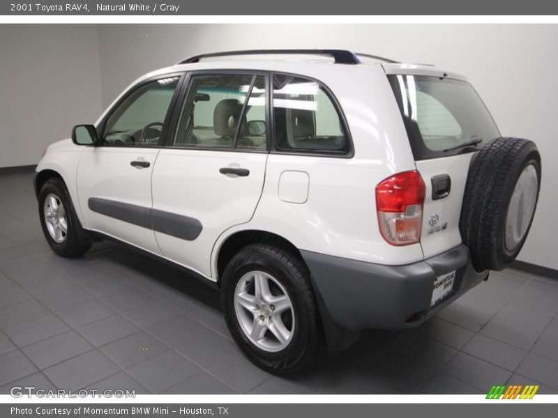 Natural White / Gray 2001 Toyota RAV4