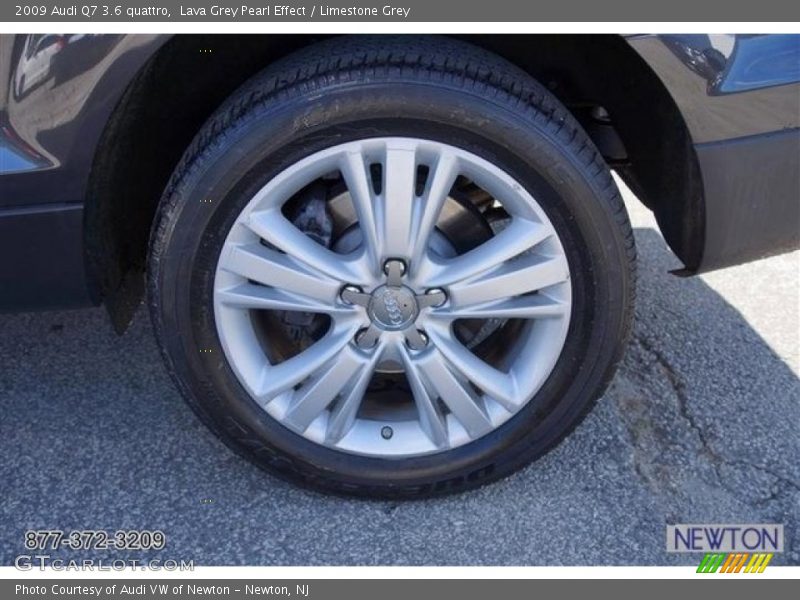 Lava Grey Pearl Effect / Limestone Grey 2009 Audi Q7 3.6 quattro