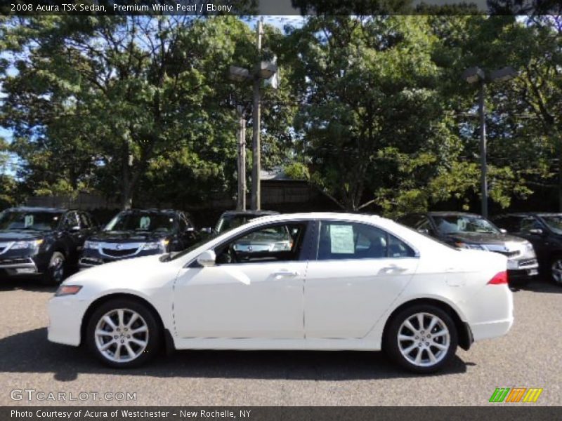 Premium White Pearl / Ebony 2008 Acura TSX Sedan
