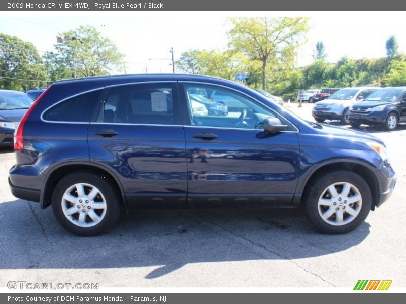 Royal Blue Pearl / Black 2009 Honda CR-V EX 4WD