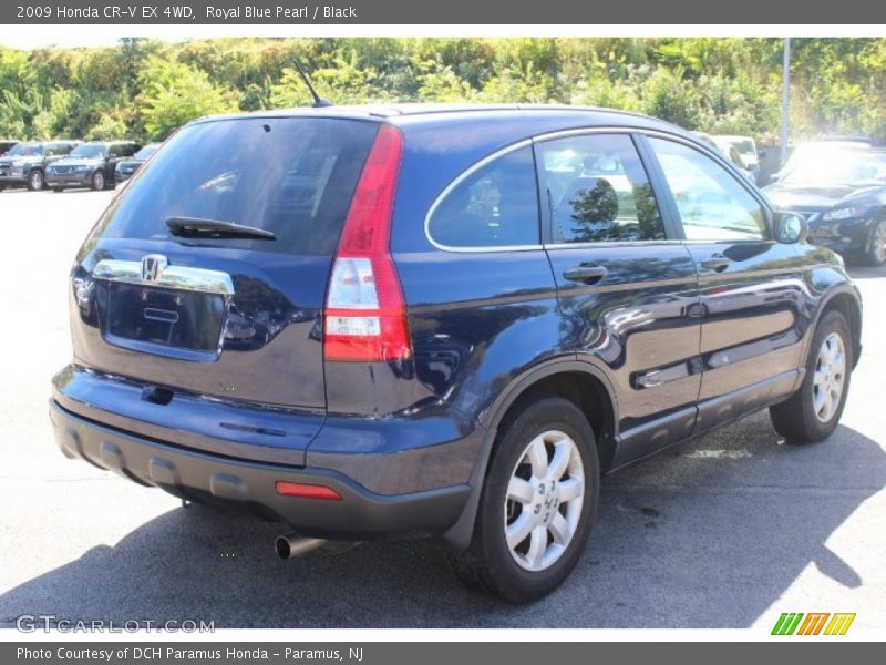 Royal Blue Pearl / Black 2009 Honda CR-V EX 4WD