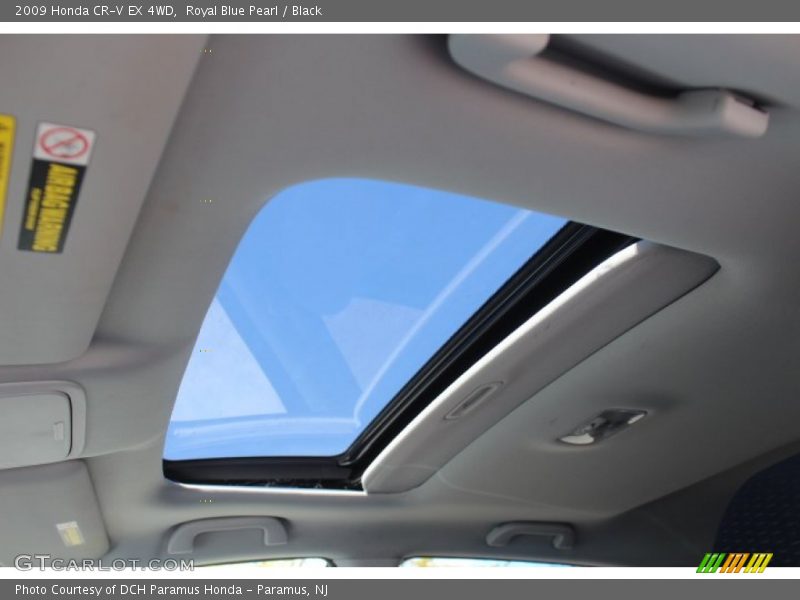 Royal Blue Pearl / Black 2009 Honda CR-V EX 4WD