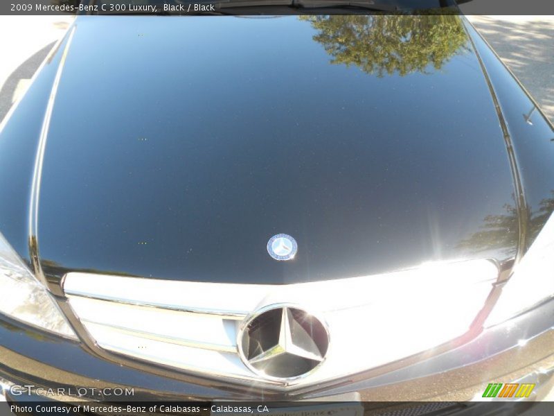 Black / Black 2009 Mercedes-Benz C 300 Luxury