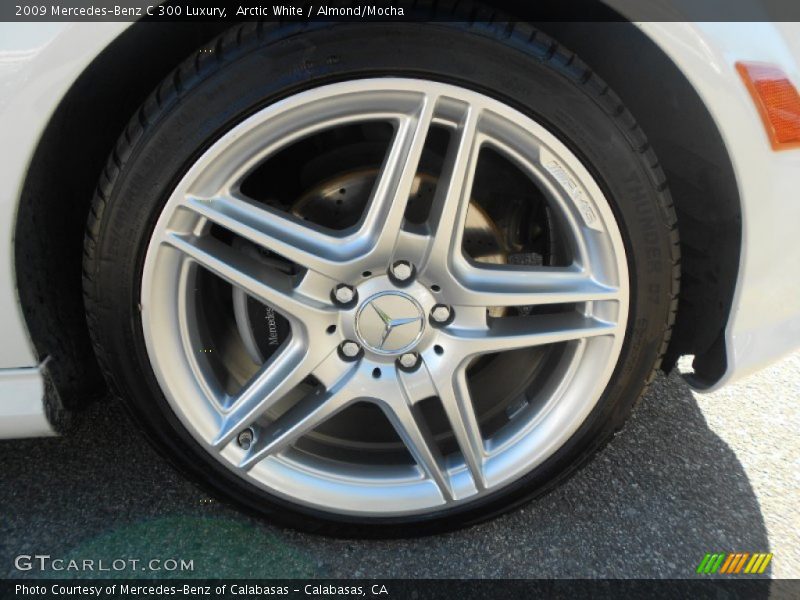 Arctic White / Almond/Mocha 2009 Mercedes-Benz C 300 Luxury