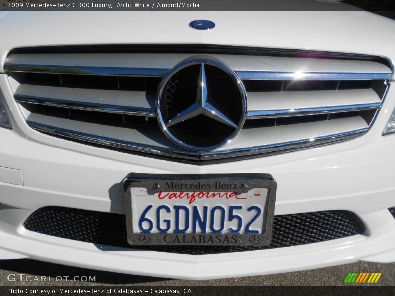 Arctic White / Almond/Mocha 2009 Mercedes-Benz C 300 Luxury