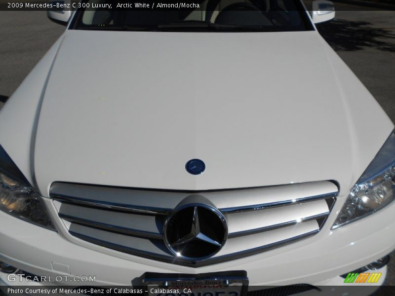 Arctic White / Almond/Mocha 2009 Mercedes-Benz C 300 Luxury