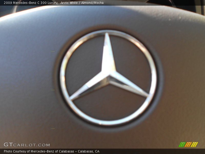 Arctic White / Almond/Mocha 2009 Mercedes-Benz C 300 Luxury