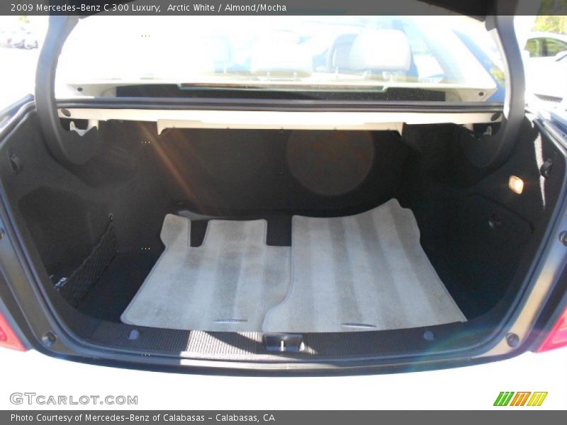 Arctic White / Almond/Mocha 2009 Mercedes-Benz C 300 Luxury
