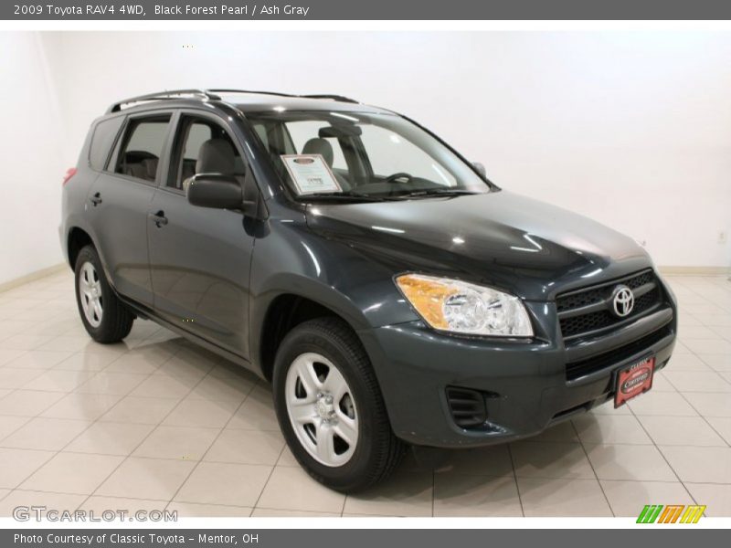 Black Forest Pearl / Ash Gray 2009 Toyota RAV4 4WD