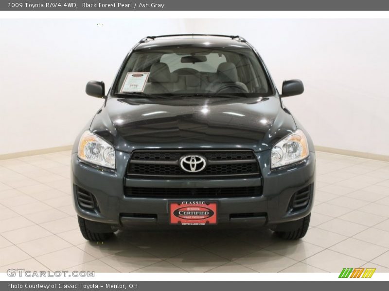 Black Forest Pearl / Ash Gray 2009 Toyota RAV4 4WD