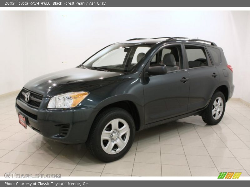 Black Forest Pearl / Ash Gray 2009 Toyota RAV4 4WD
