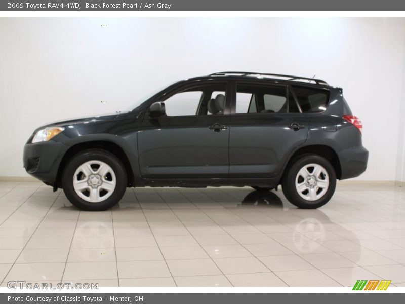 Black Forest Pearl / Ash Gray 2009 Toyota RAV4 4WD