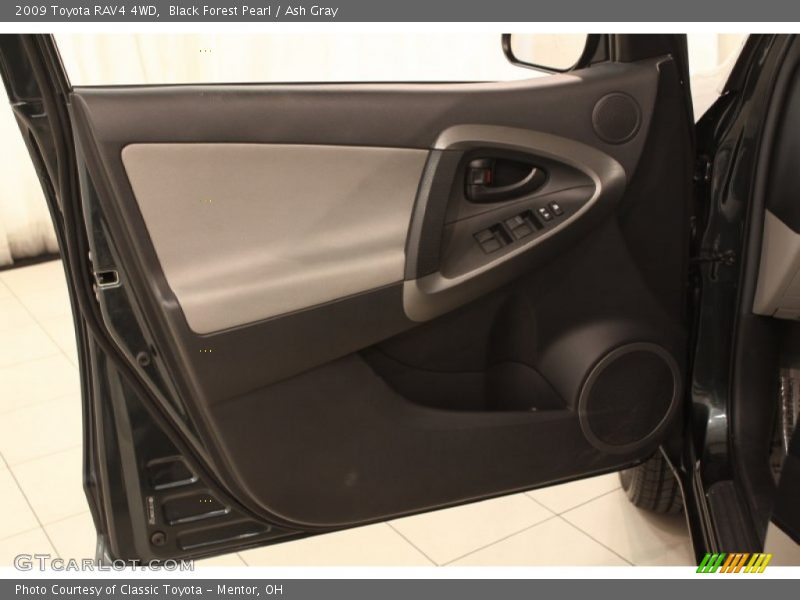 Black Forest Pearl / Ash Gray 2009 Toyota RAV4 4WD